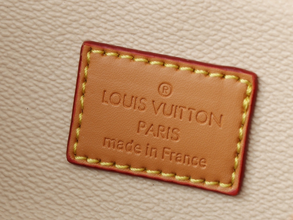 ルイヴィトンバッグ着用イメージ